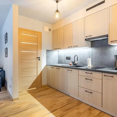 Апартаменты Zeromskiego 15b/5