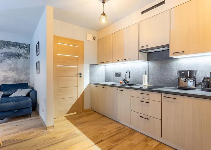 شقة Zeromskiego 15b/5